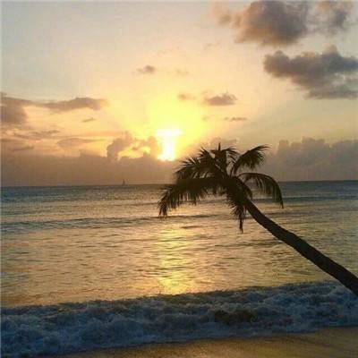 威斯尼斯wns888入